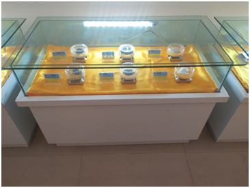 welcometo迎接惠临888集团(中国)有限公司