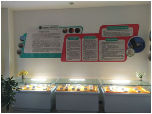 welcometo迎接惠临888集团(中国)有限公司